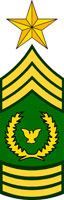 Insignia