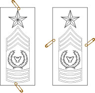 Insignias Armor