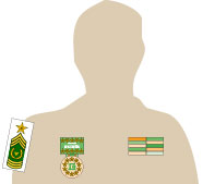 Insignias Armor