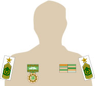 Insignias Armor