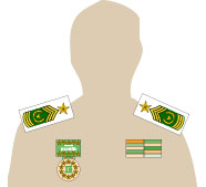 Insignias Armor