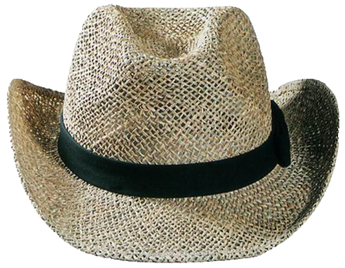 Sombrero estilo Texano