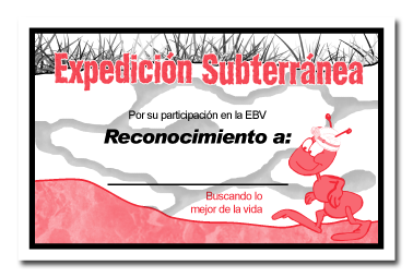 Certificado - Xsub